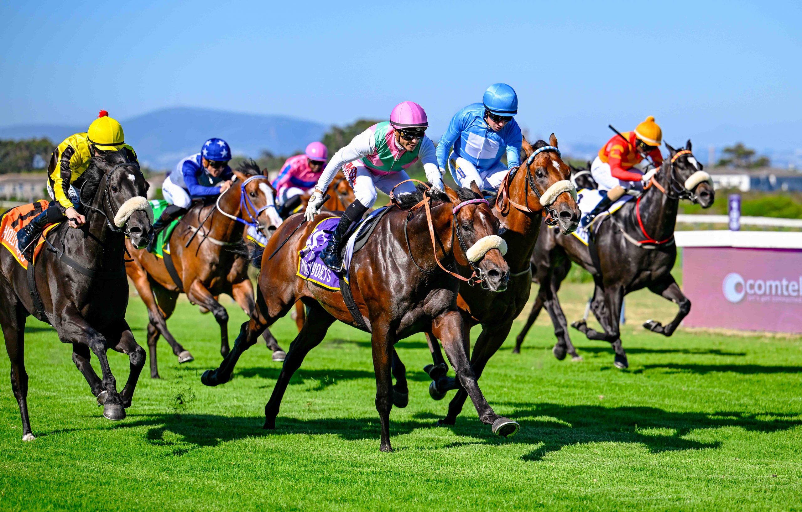 Hollywoodbets Cape Guineas First Entries Sporting Post