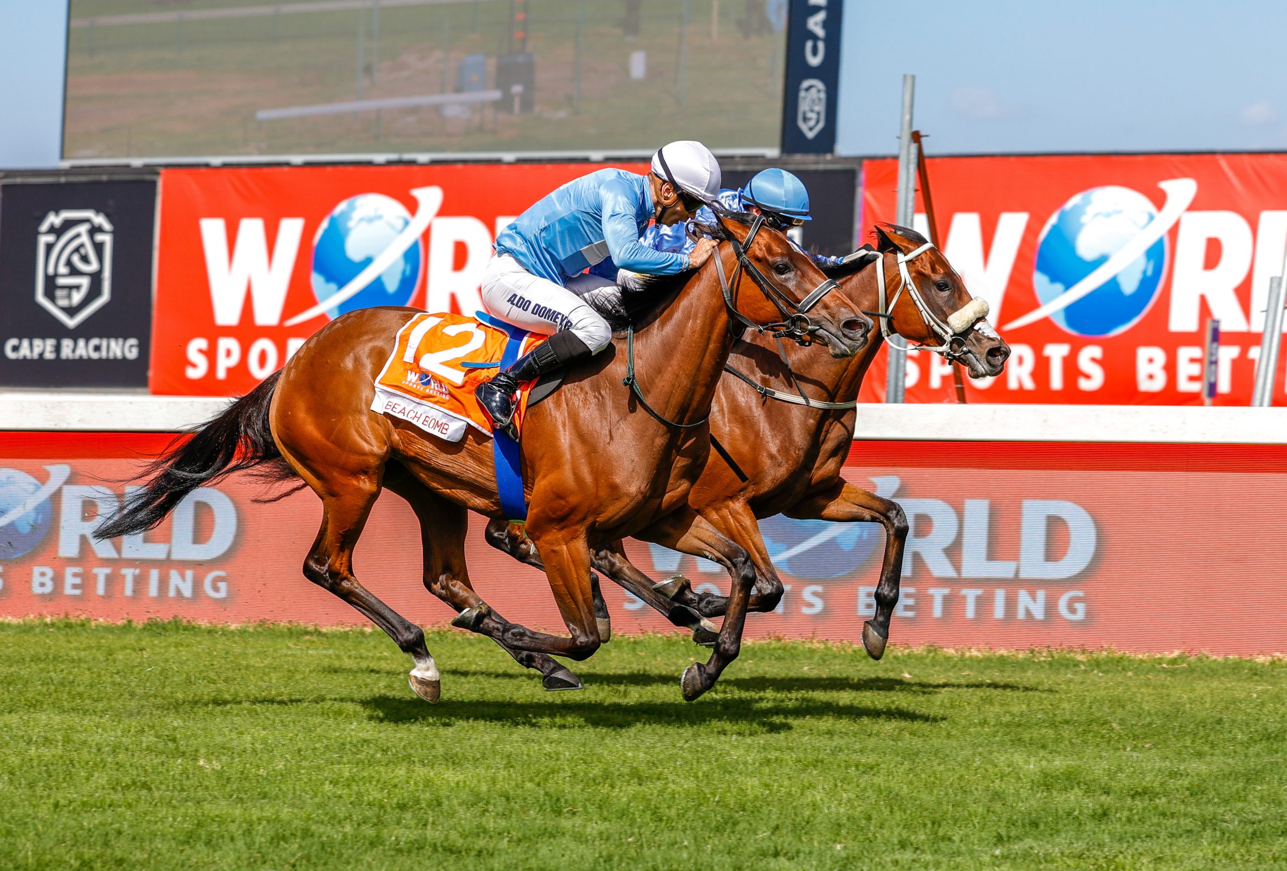 Beach Bomb – acquitted herself well on Saturday and may have another outing before Breeders’ Cup (Pic - Candiese Lenferna)