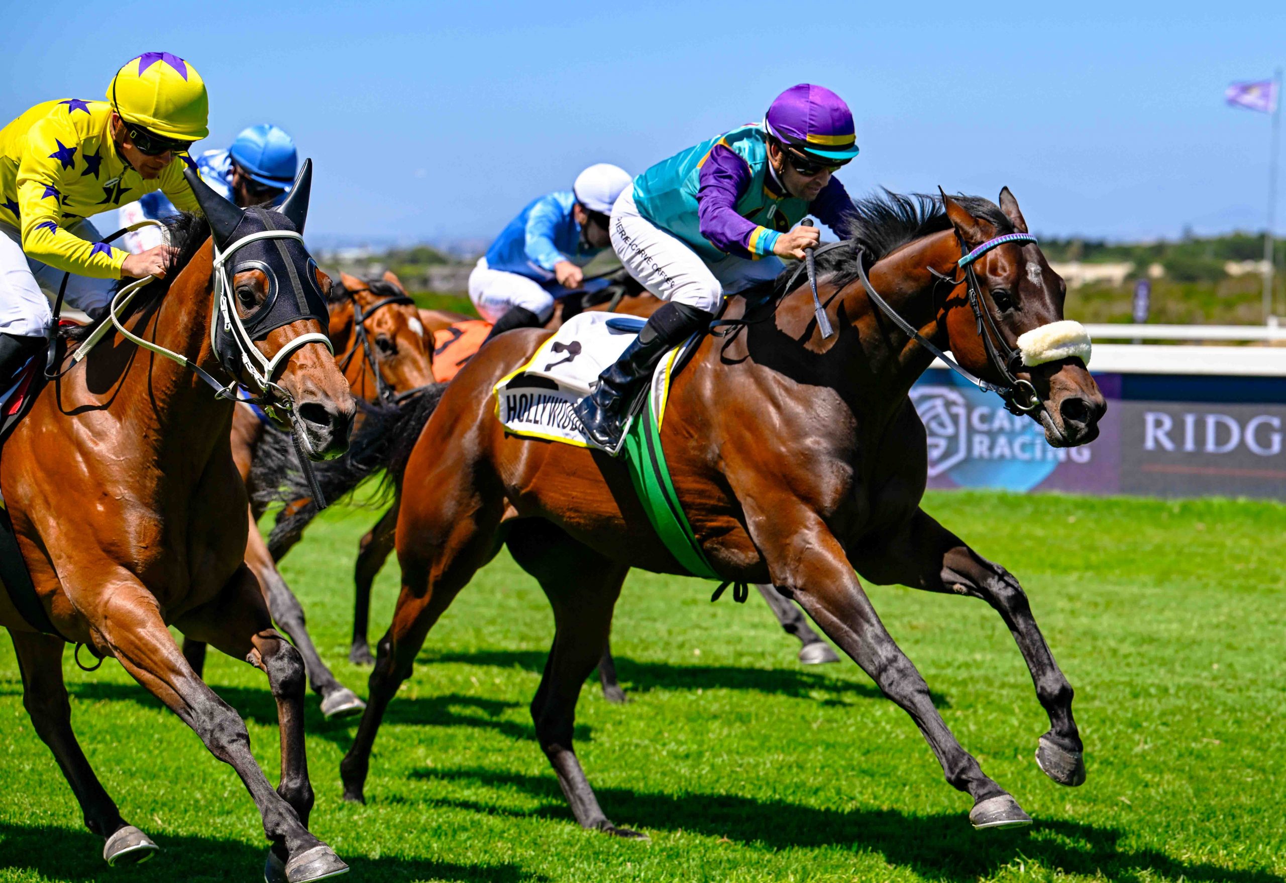 Saartjie - SplashOut Gr3 Victress Stakes (Pic - Chase Liebenberg)