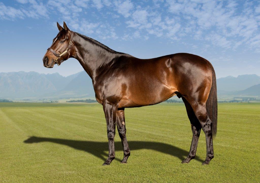 Image of sire Eric The Red