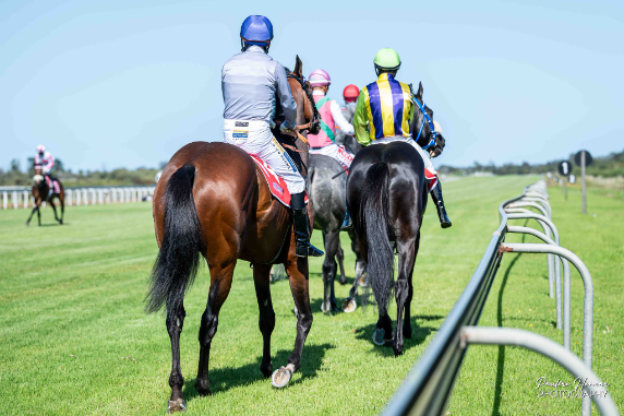 image of horses at Fairview racecourse