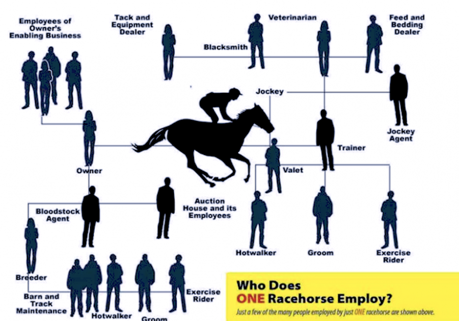 A flowchart reflecting the job roles in horseracing