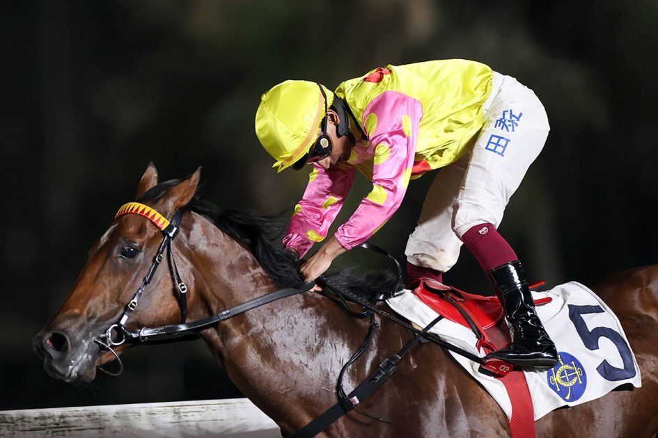 Sing Dragon is chasing a fourth successive win (Pic - HKJC)