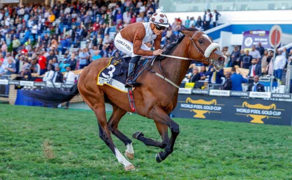 2023 Gold Cup winner Future Pearl and pilot Richard Fourie will team up once again on Saturday for the Tabgold Derby 
