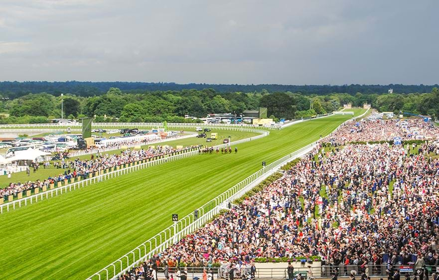 Ascot Racecourse and the Victoria Racing Club have signed a new strategic partnership