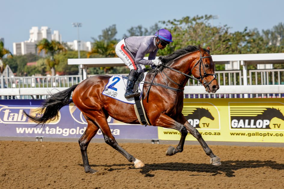 Cousin Casey – one of a trio of Vercingetorix flagbearers in Saturday’s Hollywoodbets Durban July