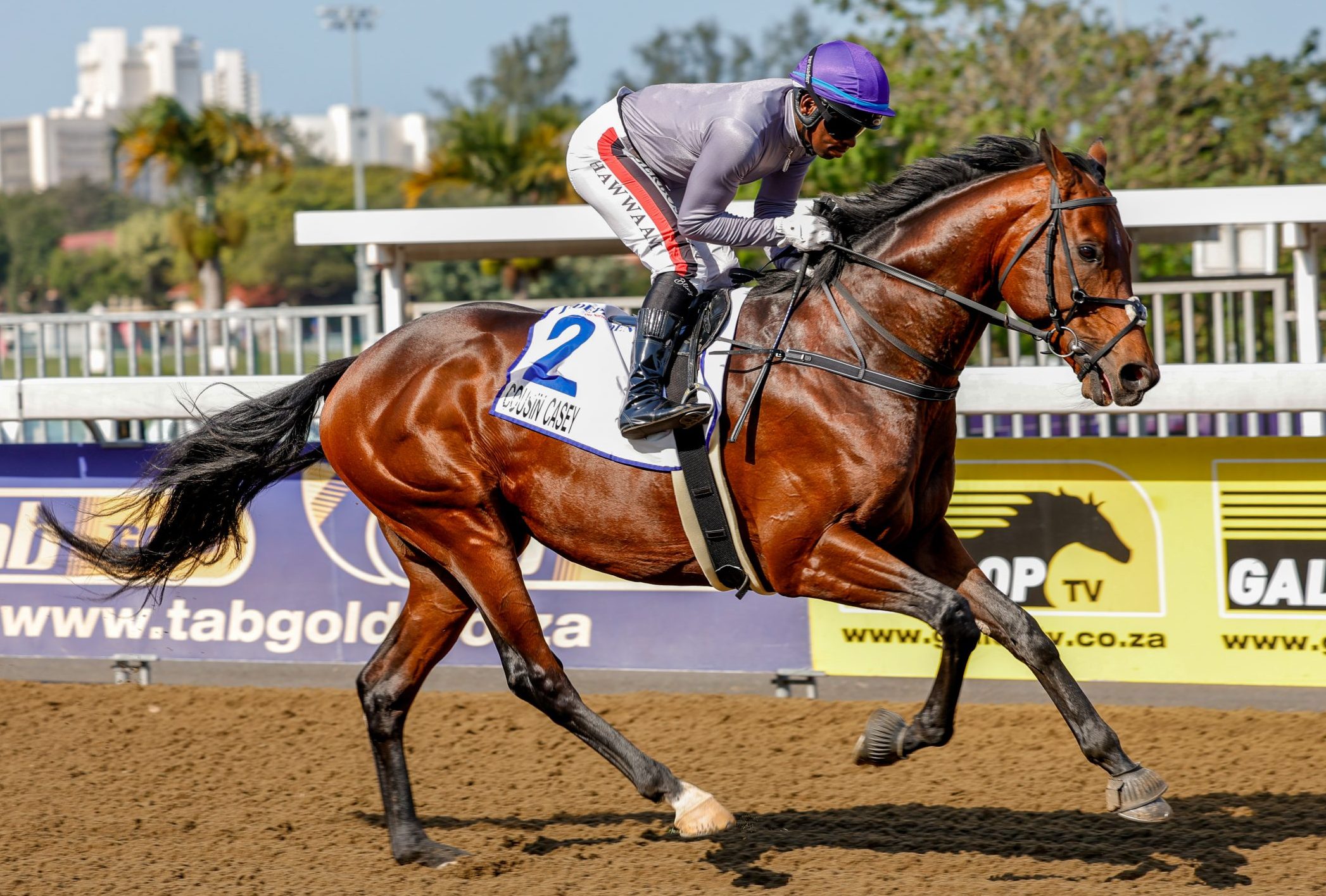 Cousin Casey – one of a trio of Vercingetorix flagbearers in Saturday’s Hollywoodbets Durban July