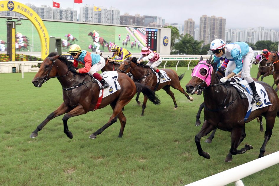 Ka Ying Victory is bidding for a 1000m hat-trick