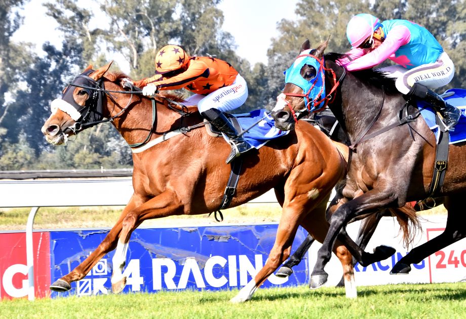 Nuclear Force (Gavin Lerena) will meet Kakiebos (Kaidan Brewer) in a rematch today at Turffontein