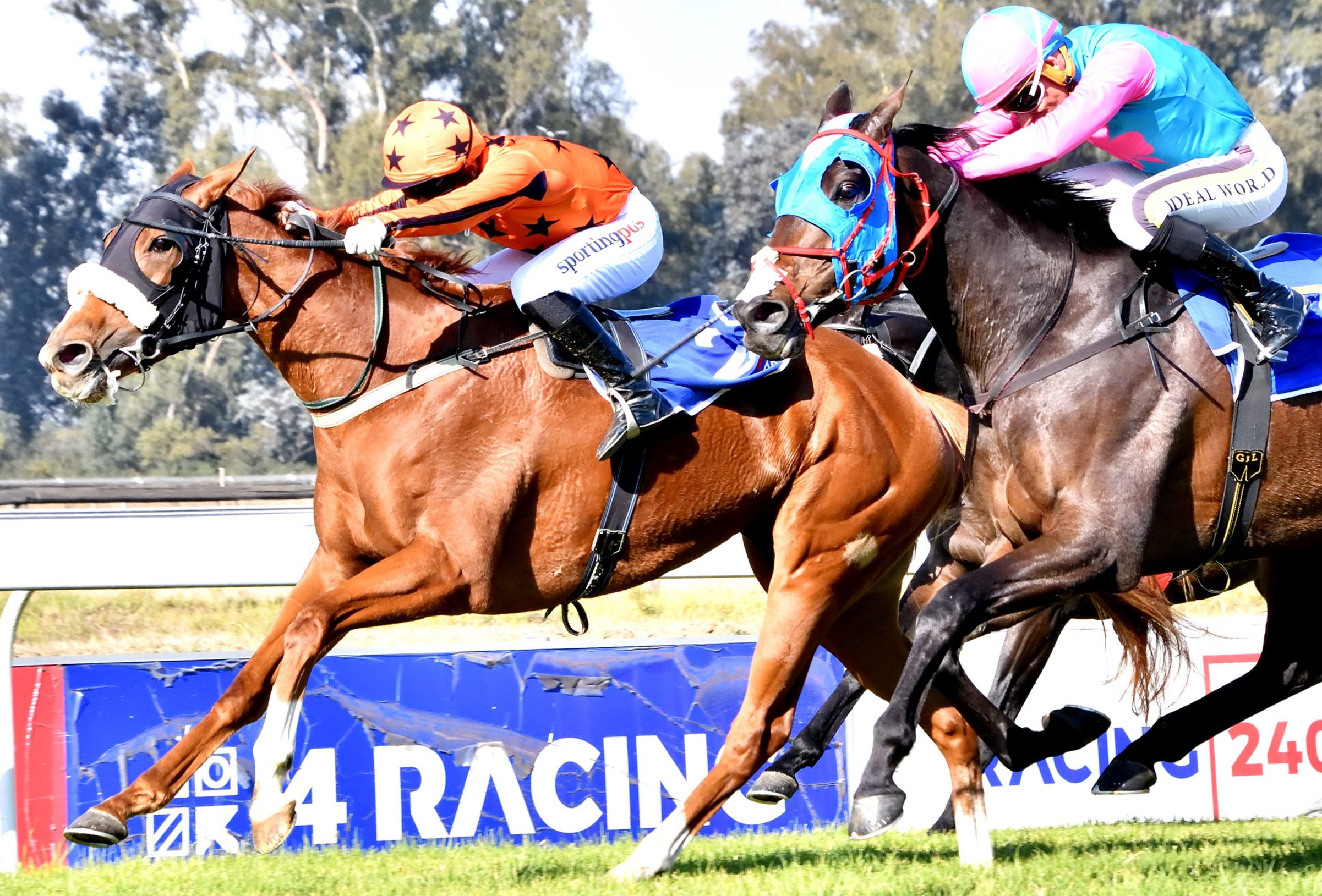 Nuclear Force (Gavin Lerena) will meet Kakiebos (Kaidan Brewer) in a rematch today at Turffontein