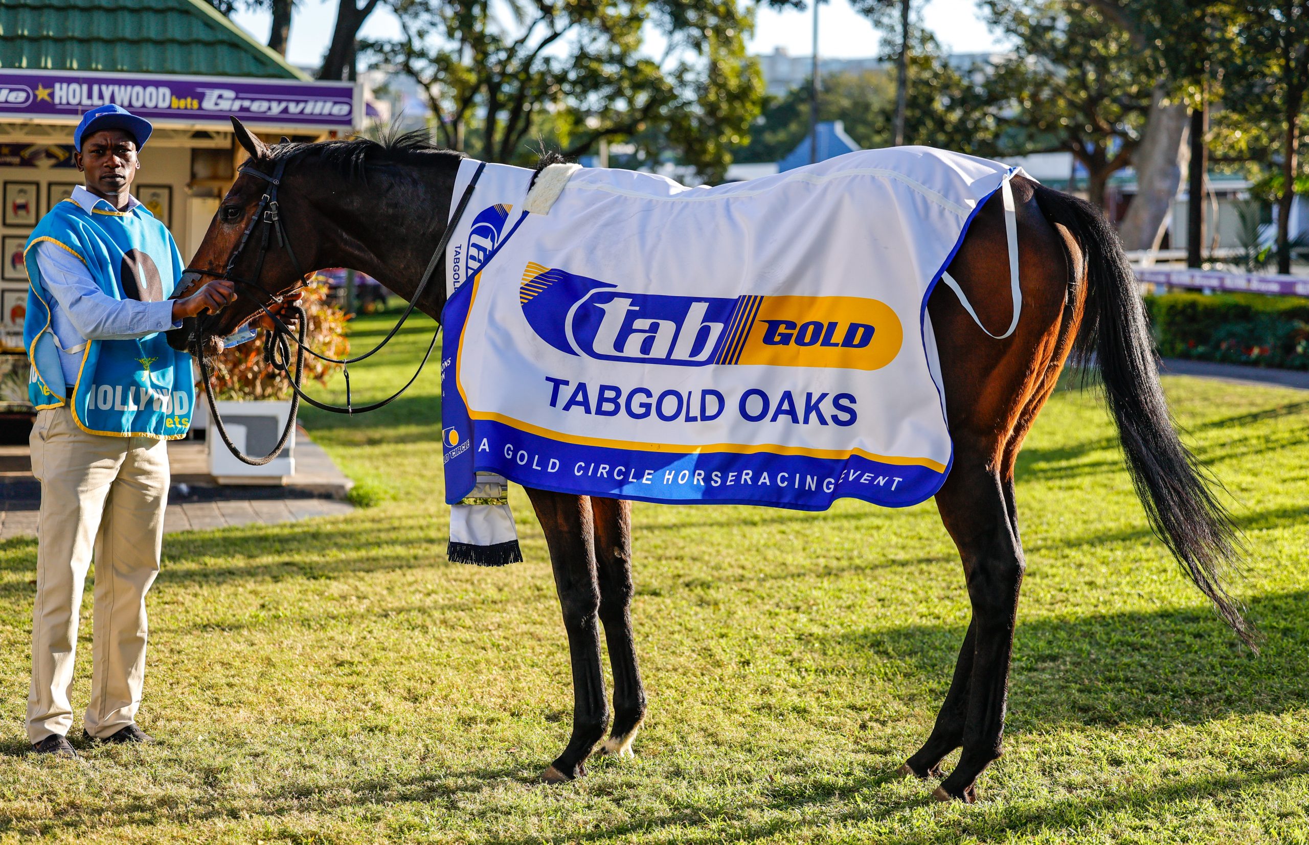 Tabgold Gr2 Oaks winner Red Maple's merit rating has been increased to 108