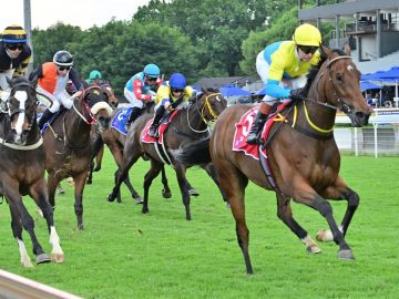 Bavarian Beauty (under Piere Strydom) won her only attempt over this course and distance on 12 November 2023
