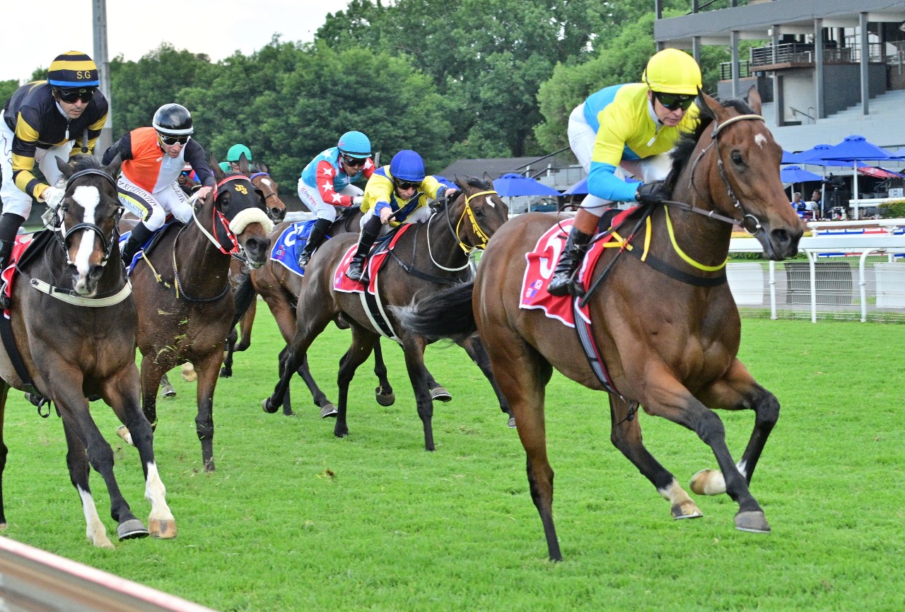 Bavarian Beauty (under Piere Strydom) won her only attempt over this course and distance on 12 November 2023