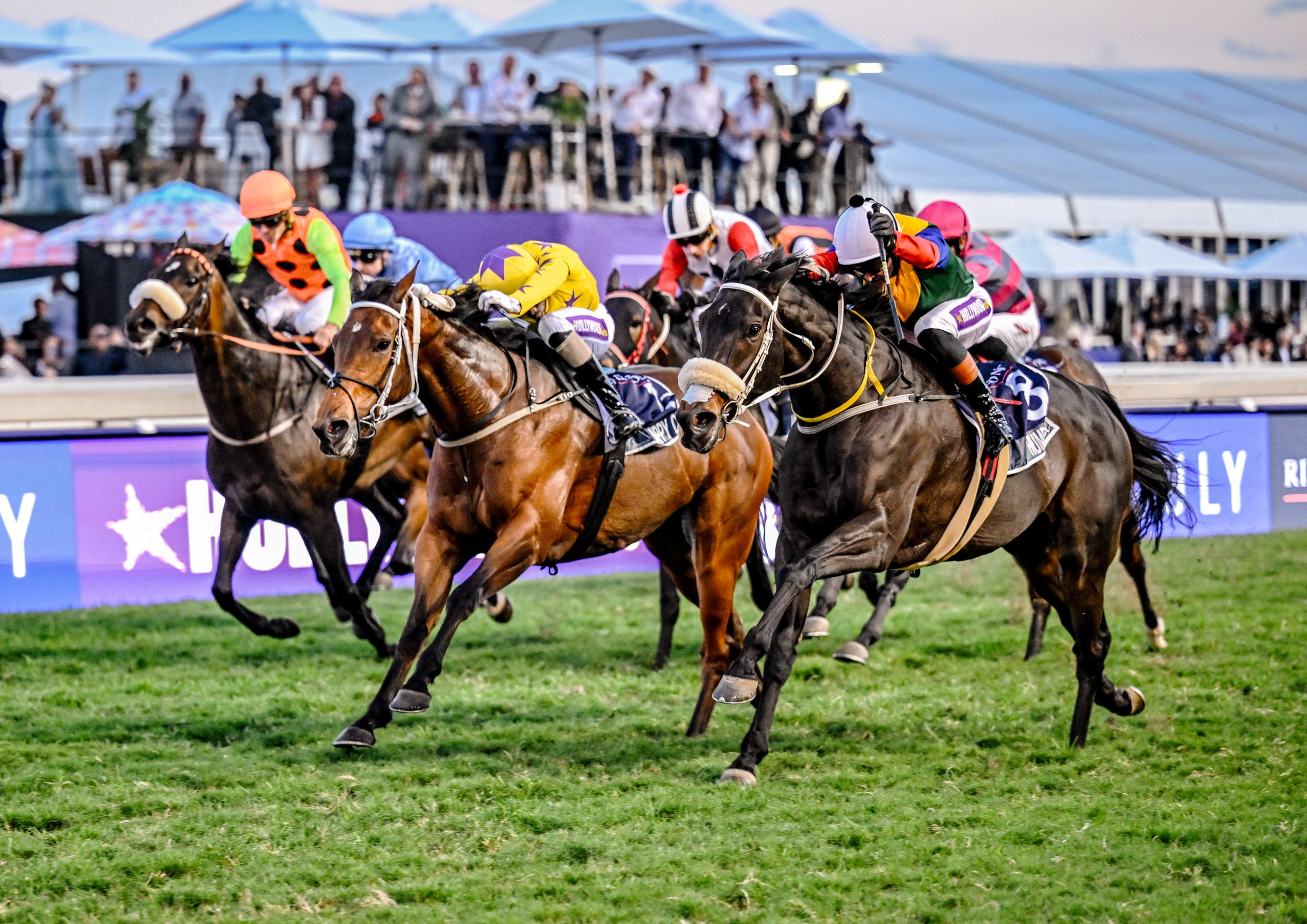 Dynasty daughter Happy Chance (yellow silks) chases Humdinger in the Ridgemont Gr1 Garden Province Stakes on 6 July