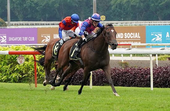 Greatham Boy (Ryan Curatolo) is part of trainer Tim Fitzsimmons' two-pronged attack in the Group 1 Lion City Cup