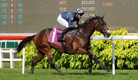 Lim's Kosciuszko (Marc Lerner) makes light work of his rivals in the Group 1 Lion City Cup