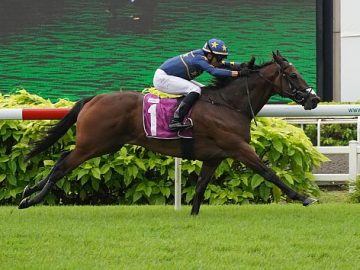 Lim's Kosciuszko (Marc Lerner) seen here at his last-start win in the Group 1 Kranji Mile on 18 May