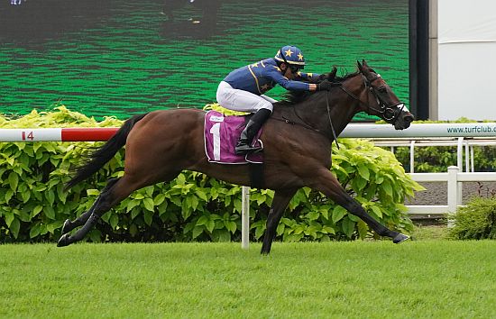 Lim's Kosciuszko (Marc Lerner) seen here at his last-start win in the Group 1 Kranji Mile on 18 May