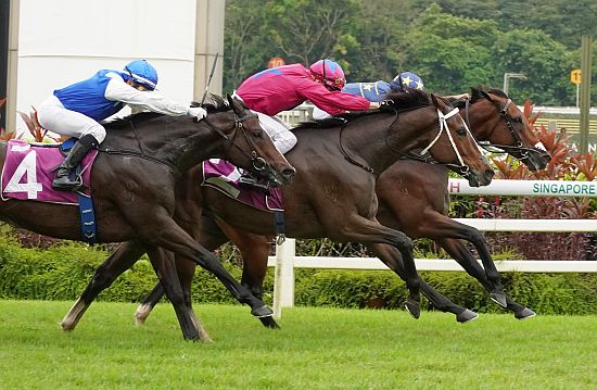 Lim's Saltoro (Marc Lerner) fends off Bestseller (Vlad Duric) and Makin (Manoel Nunes, No 4) strongly before saluting in the Group 2 Stewards' Cup
