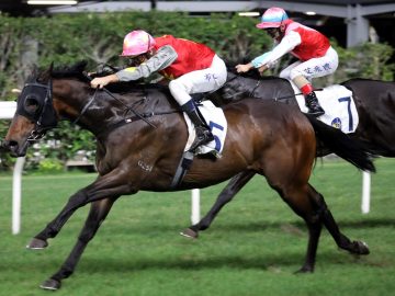 Majestic Knight wins his third race at Happy Valley