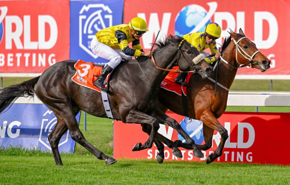 The Ridgemont bred Happy Chance (Louis Mxothwa) seen winning the 2023 WSB Listed Sweet Chestnut Stakes beating Kwinta’s Light. She runs in Saturday’s Ridgemont Gr1 Garden Province Stakes