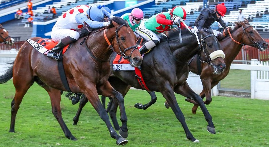 WSB Gr Guineas in 2020 - Wild Coast (Donovan Dillon) grabs Padre Pio (Craig Zackey) on the line. Third placed Golden Ducat (Warren Kennedy) is in the red cap 