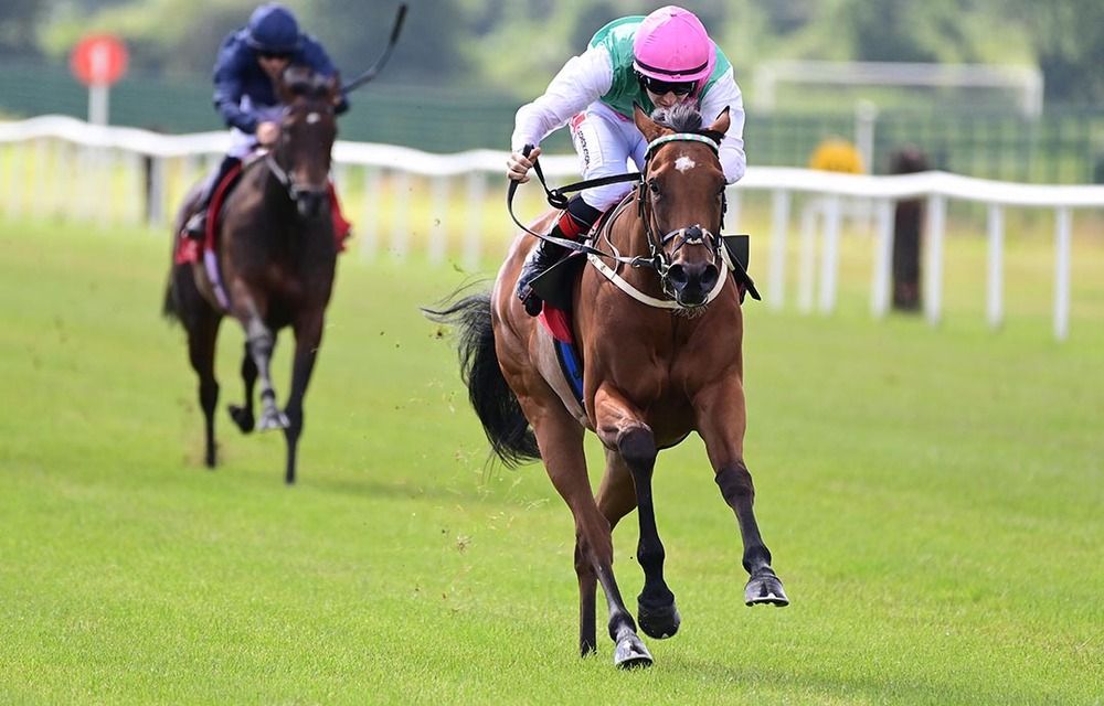 Babouche maintains her unbeaten record (Pic - Irish Racing)