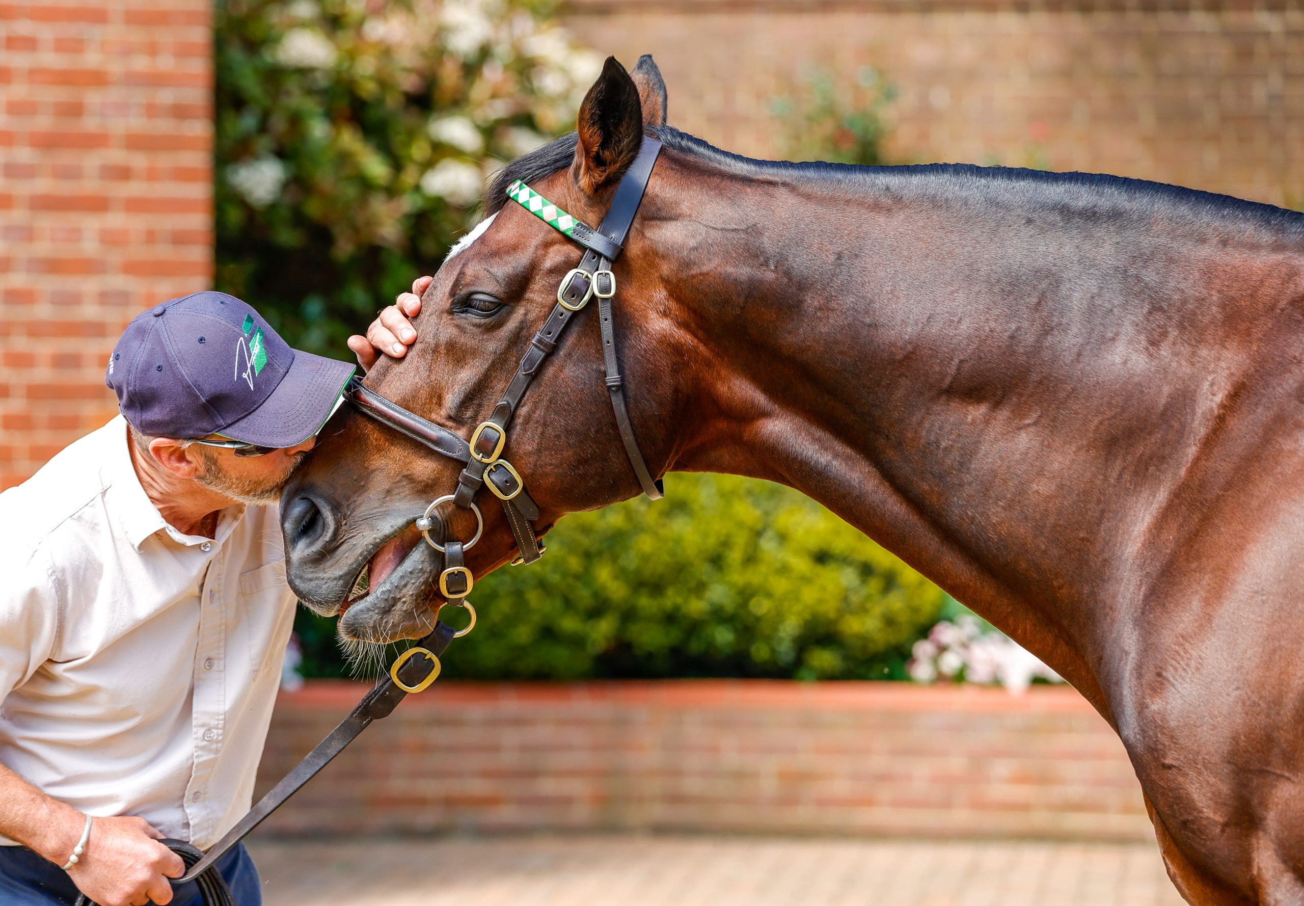 Frankel and his longstanding Groom Rob Bowley (Pic - Candiese Lenferna)