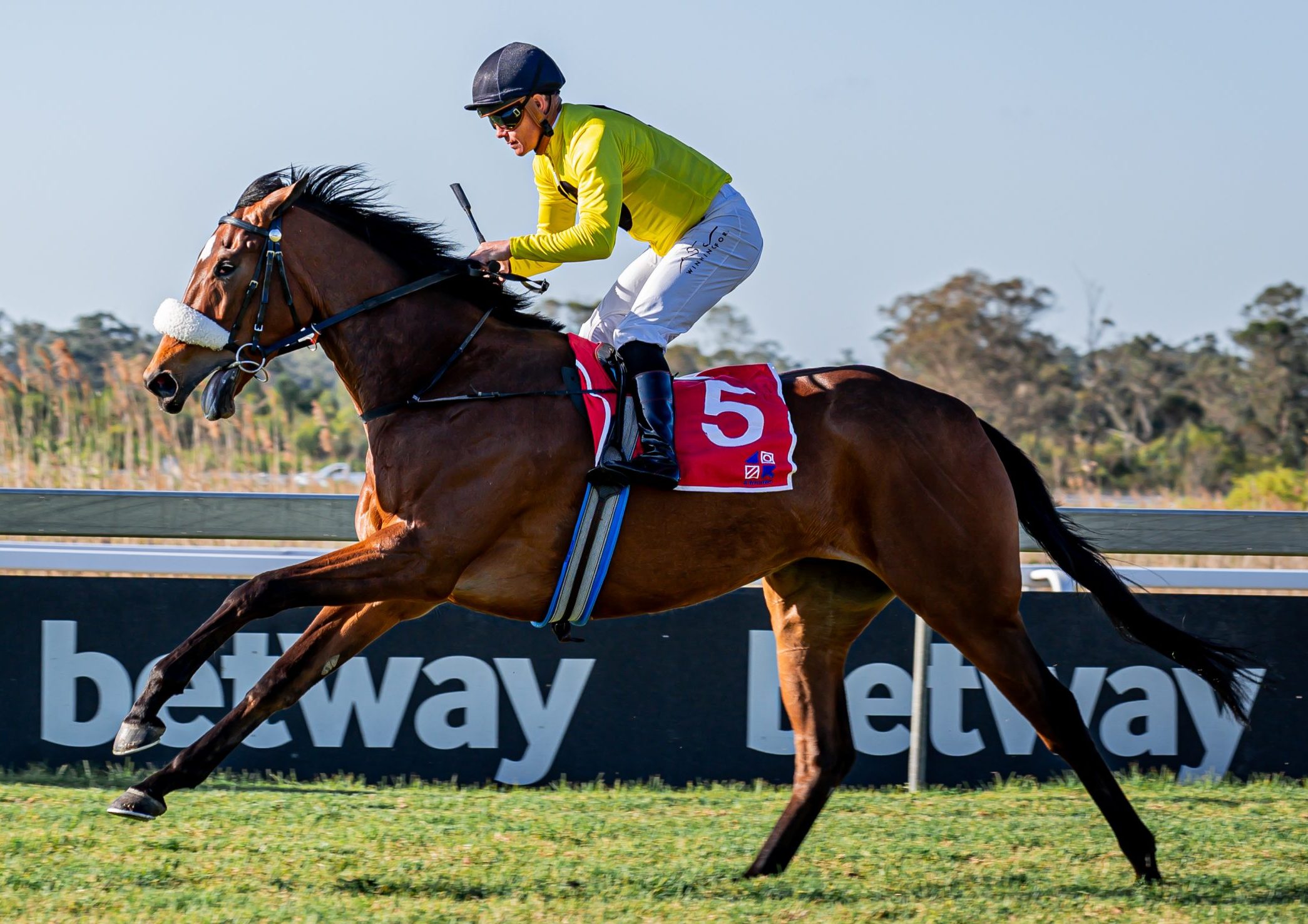 Richard Fourie retains the ride on Joy And Peace in Race 3 today (Pic - Pauline Herman)