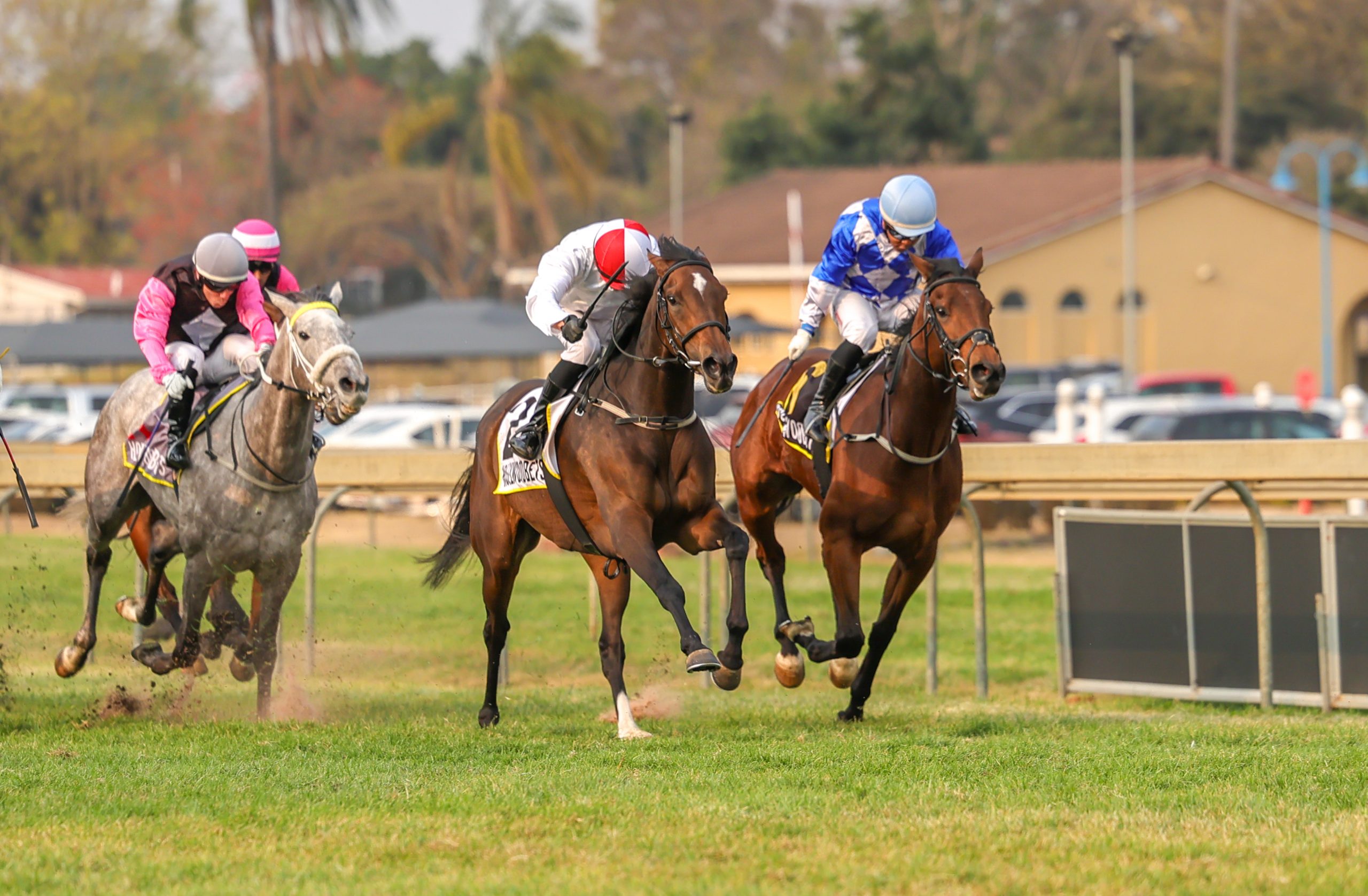 Mascherina (Tristan Godden) wins the Listed Off To Stud Stakes 