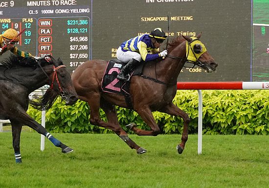 Onemorefortheroad (Bruno Queiroz) scores in Race 9 (Pic - STC)