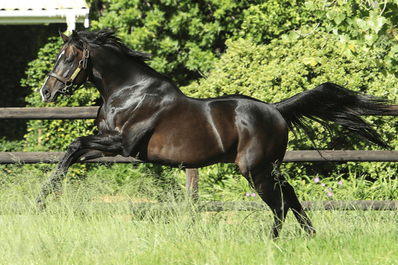 Querari (Oasis Dream – Quetena) has made a good start to the season