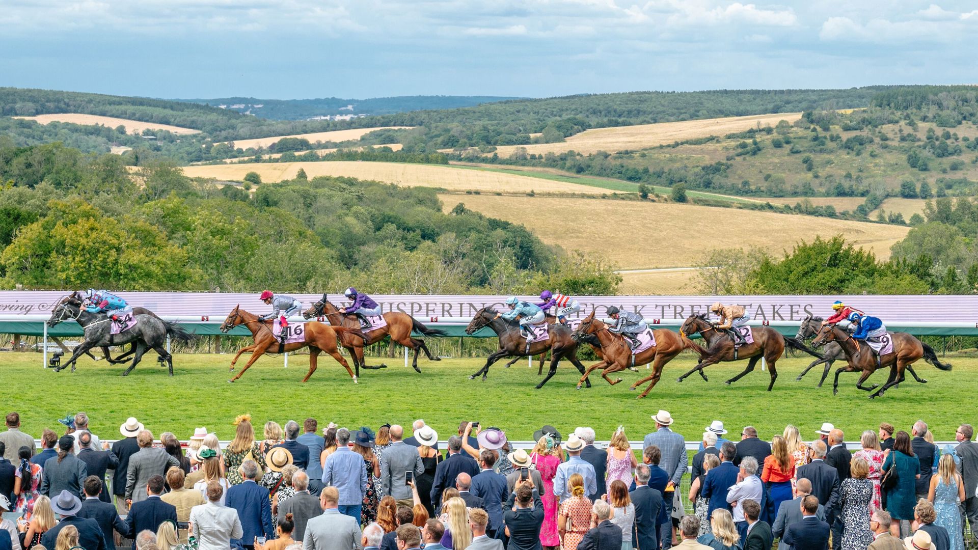 The excitement at Goodwood (Pic - Goodwood)