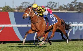 Autumn Glow makes history on Saturday in the Gr3 Up And Coming Stakes (Pic - Inglis)