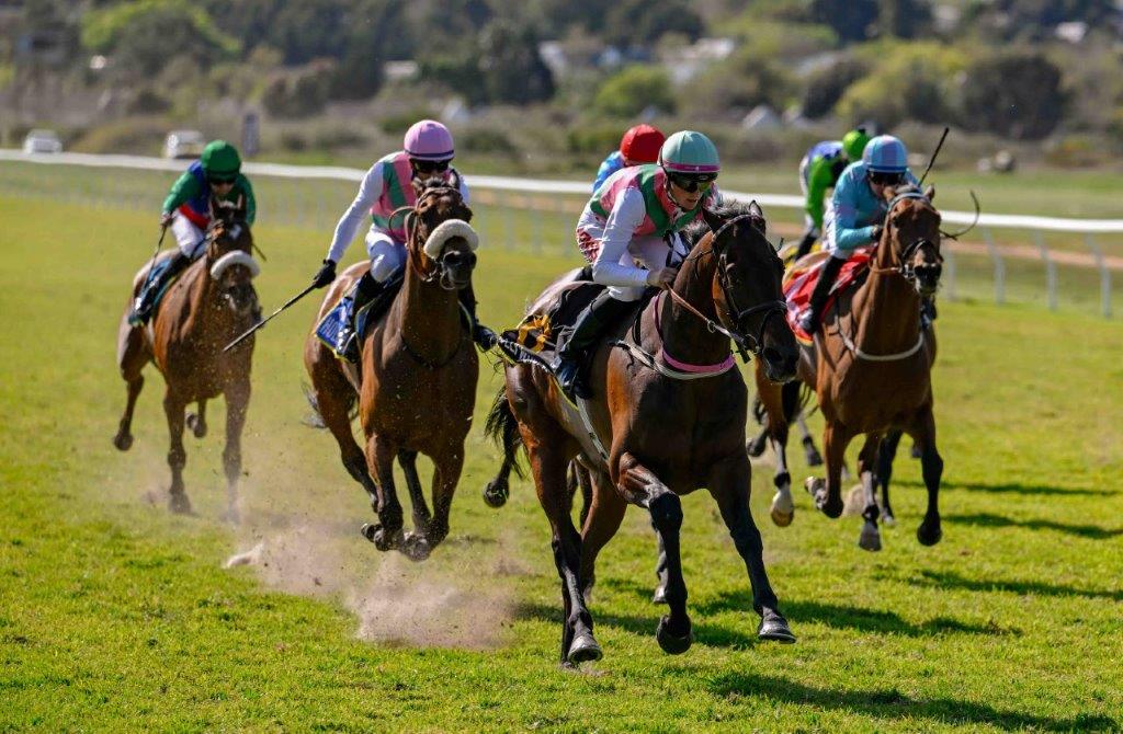 Course debutante Rachel Venniker to the Listed Settlers Trophy on Call To Unite (Pic - Chase Liebenberg)