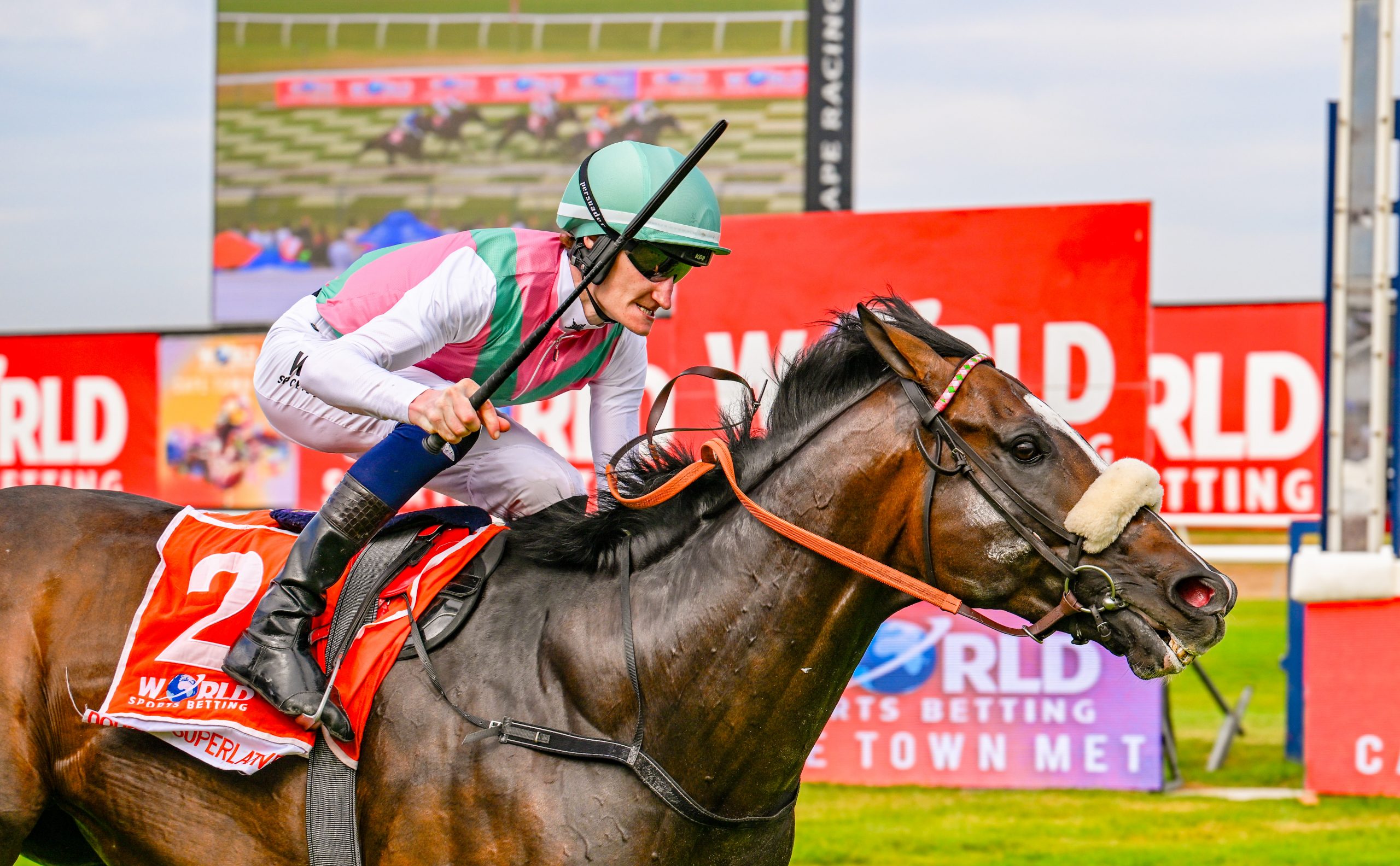 Daniel Muscutt wins the World Sports Betting Cape Town MET 2024 on Double Superlative (Pic - Chase Liebenberg)