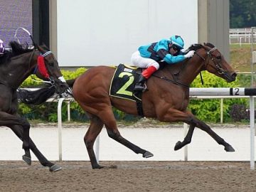 General Command seen here at his last win in a Class 2 race in August last year (Pic - STC)