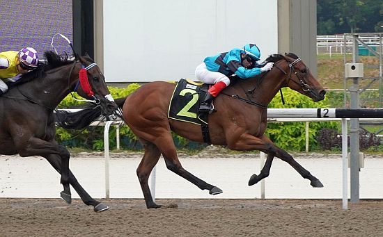 General Command seen here at his last win in a Class 2 race in August last year (Pic - STC)