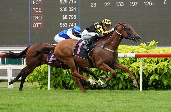 Golden Monkey seen here at his eighth and last win in Singapore in a Kranji Stakes A race (1200m) on 7 July (Pic - STC)