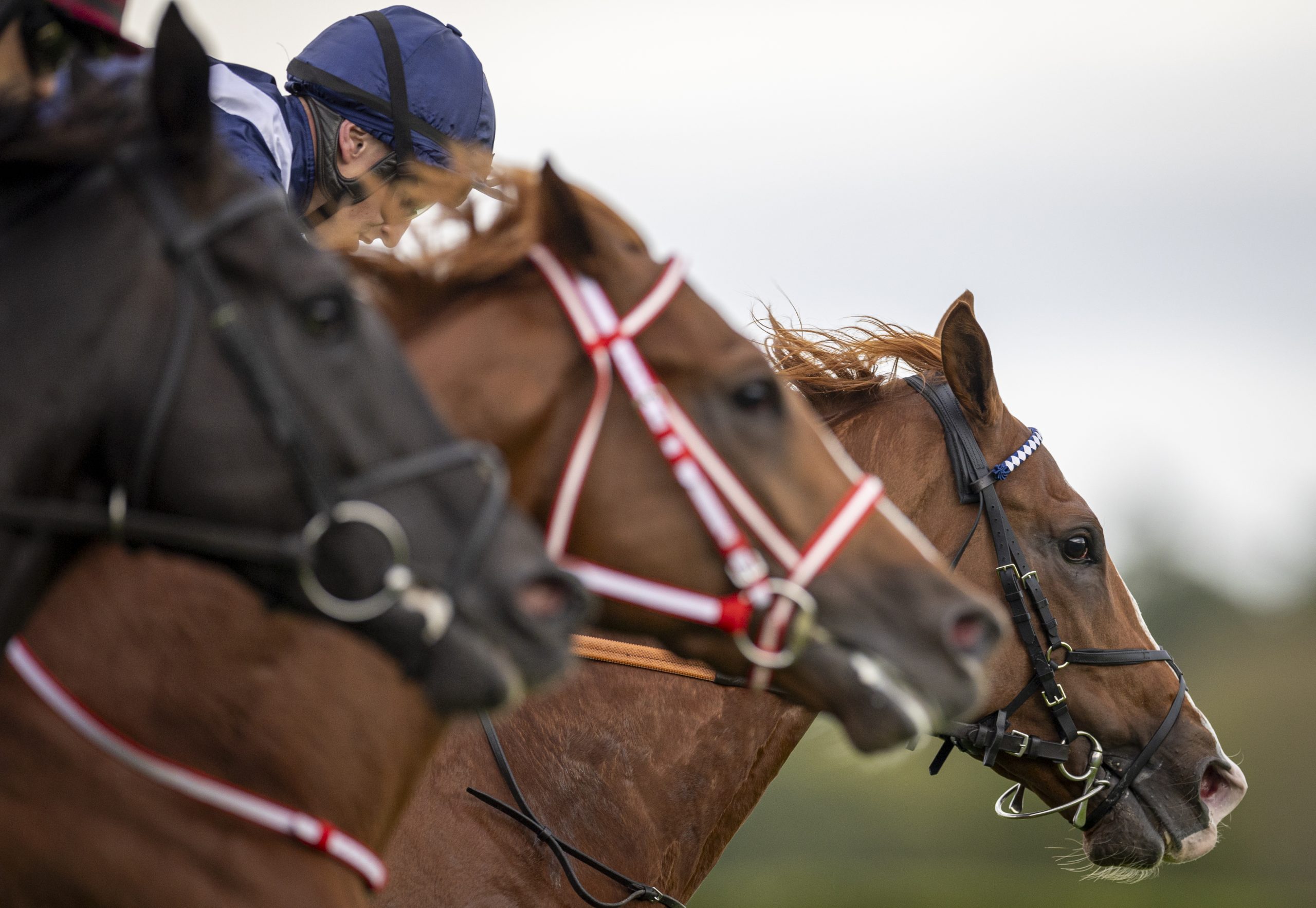 Economics (Tom Marquand) wins the Royal Bahrain Irish Champion Stakes Gr1 from Auguste Rodin at Irish Champions Festival at Leopardstown (Pic - Patrick McCann/Racing Post)