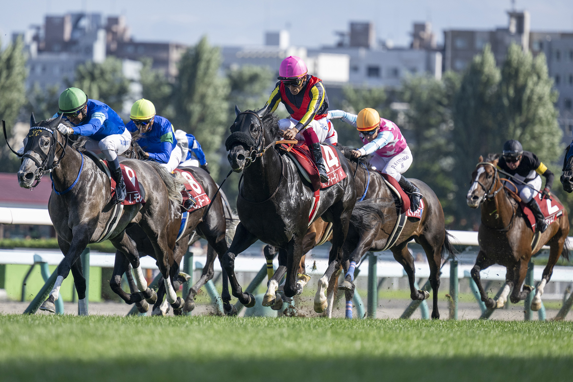 Karis Teetan (pink cap) wins at Sapporo in August (Pic - HKJC)