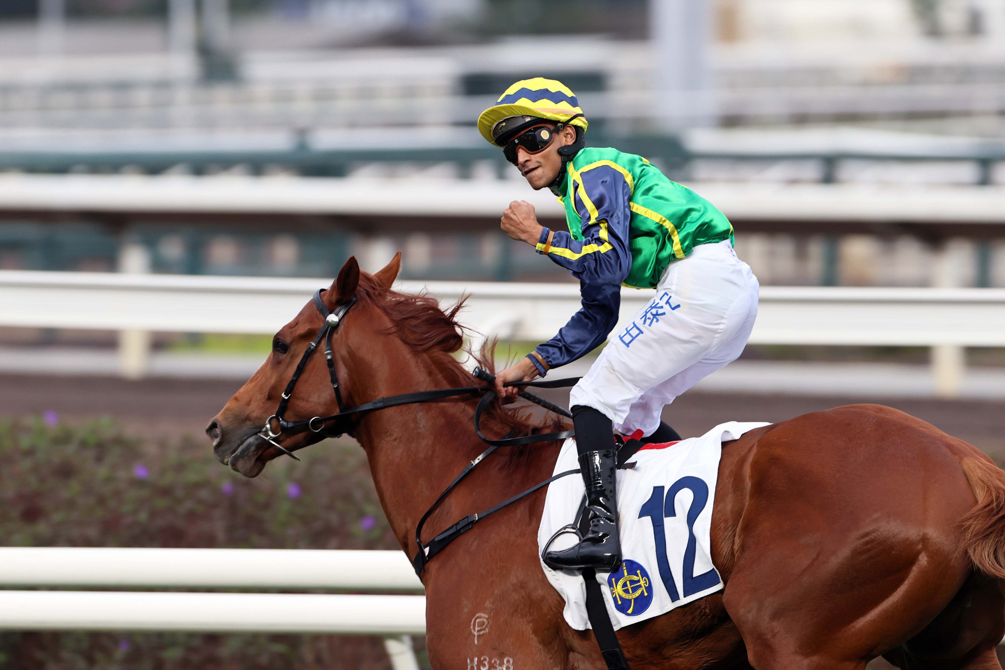 Karis Teetan wins aboard Mugen at Sha Tin (Pic - HKJC)