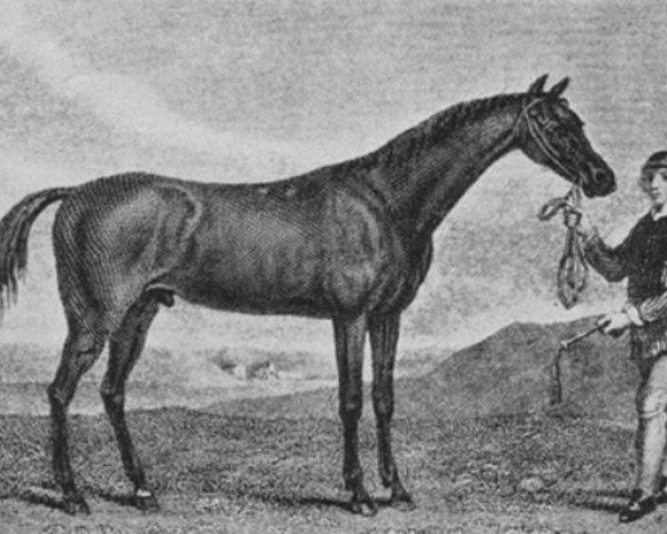 Saturday’s feature is named after the famous thoroughbred foundation stallion, Matchem (1748 – 1781) (Pic - Supplied)