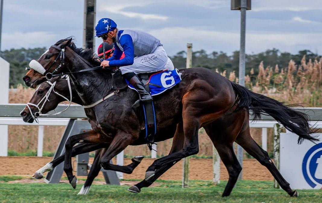 Splicethemainbrace wins under recordbreaker Fourie (Pic - Pauline Herman)