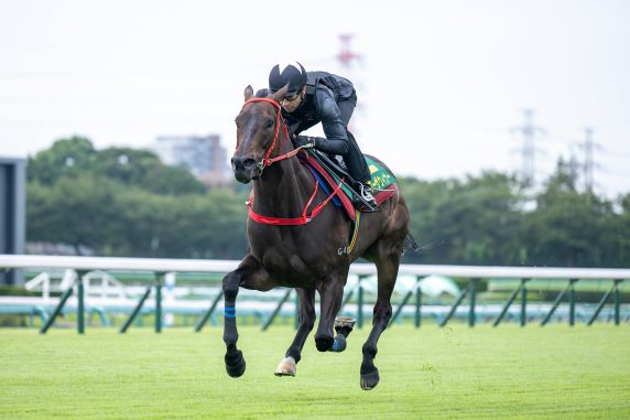 Victor The Winner works with jockey Joao Moreira (Pic - HKJC)