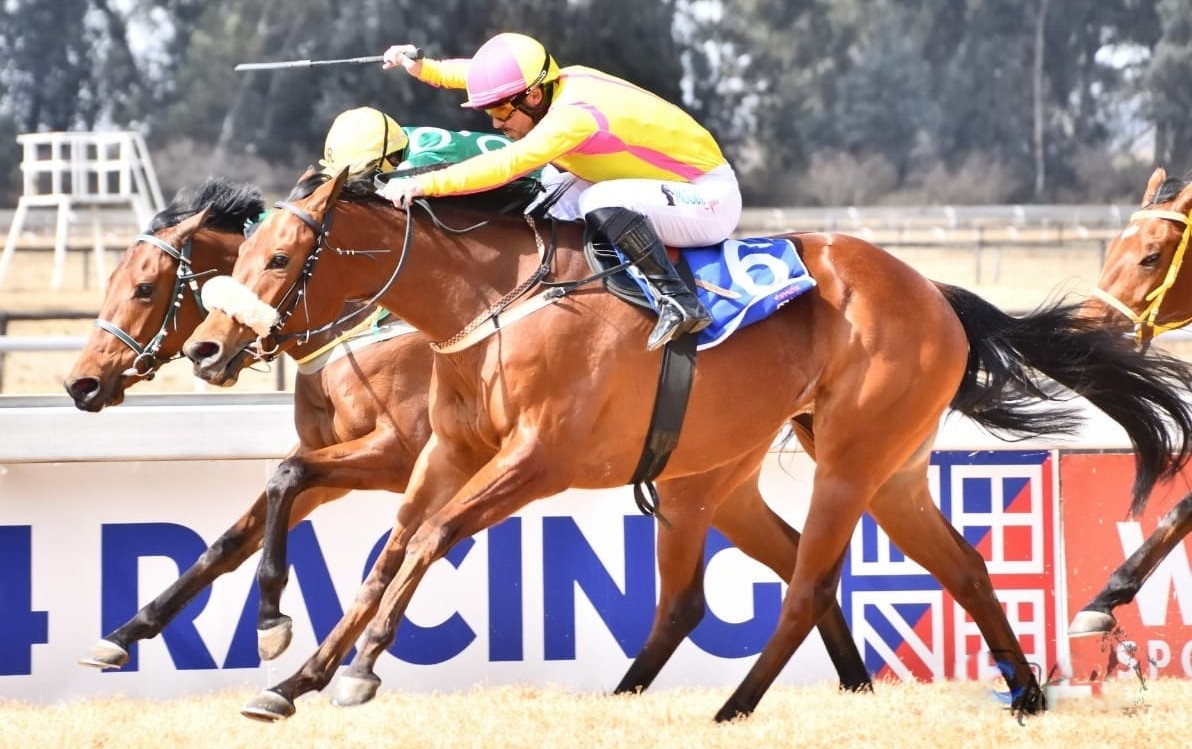 Willowild under jockey Chase Maujean won at Vaal on 30 July 