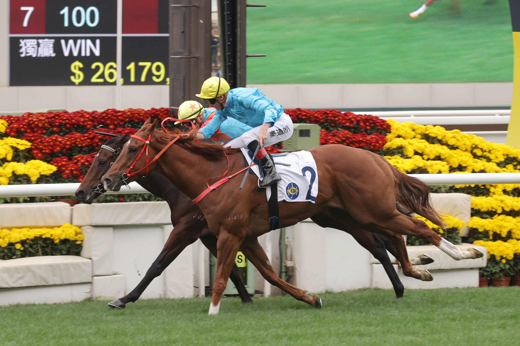 Wunderbar downs Ka Ying Rising (Pic - HKJC)