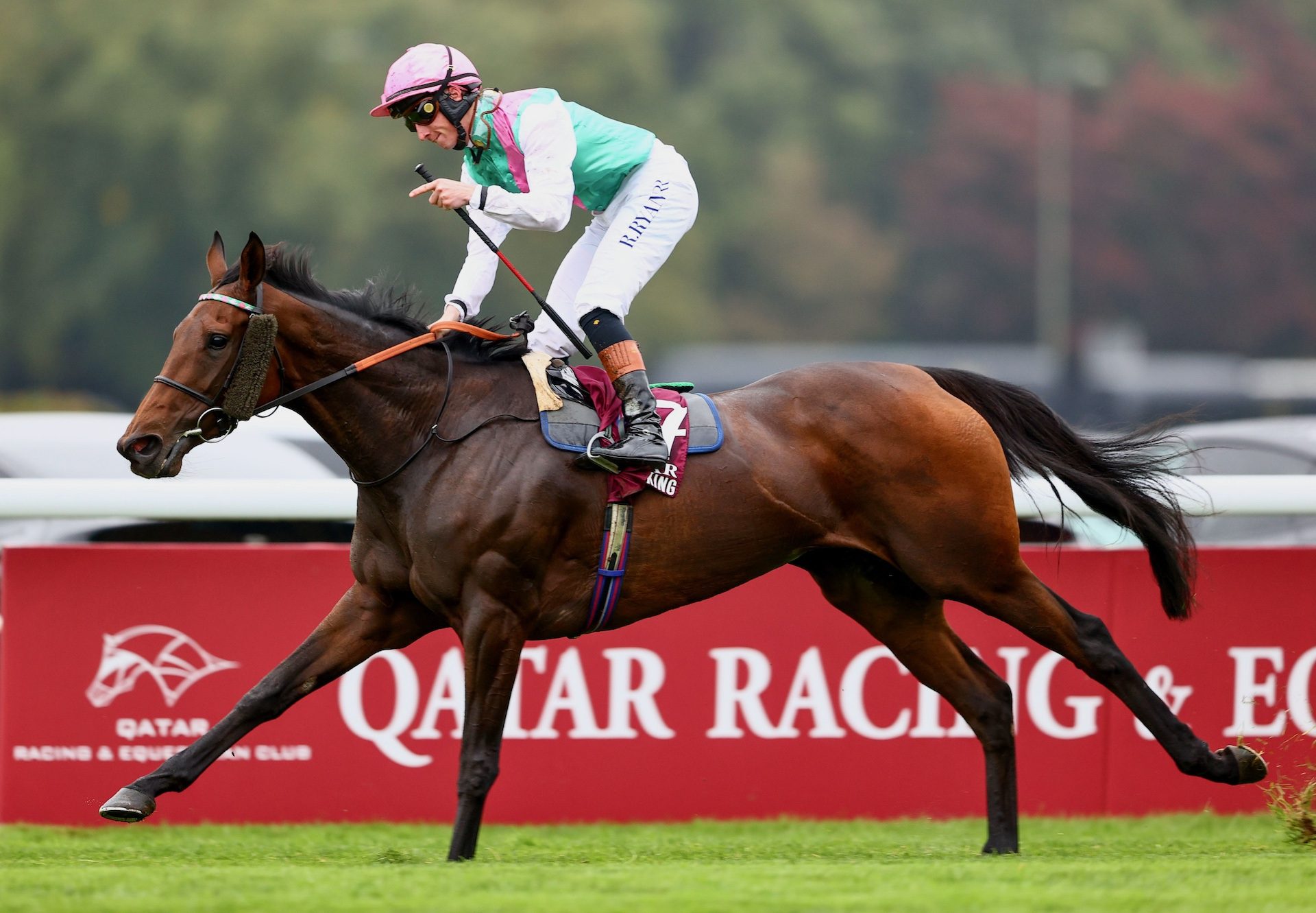 Bluestocking triumphed in the Prix de l'Arc de Triomphe (Pic - Coolmore)