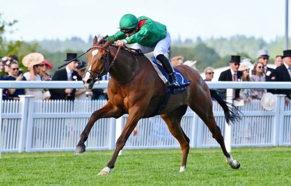 Calandagan (Stephane Pasquier) blew the opposition away with a thoroughly impressive performance in the Gr2 King Edward VII Stakes in June (Pic – Coolmore)