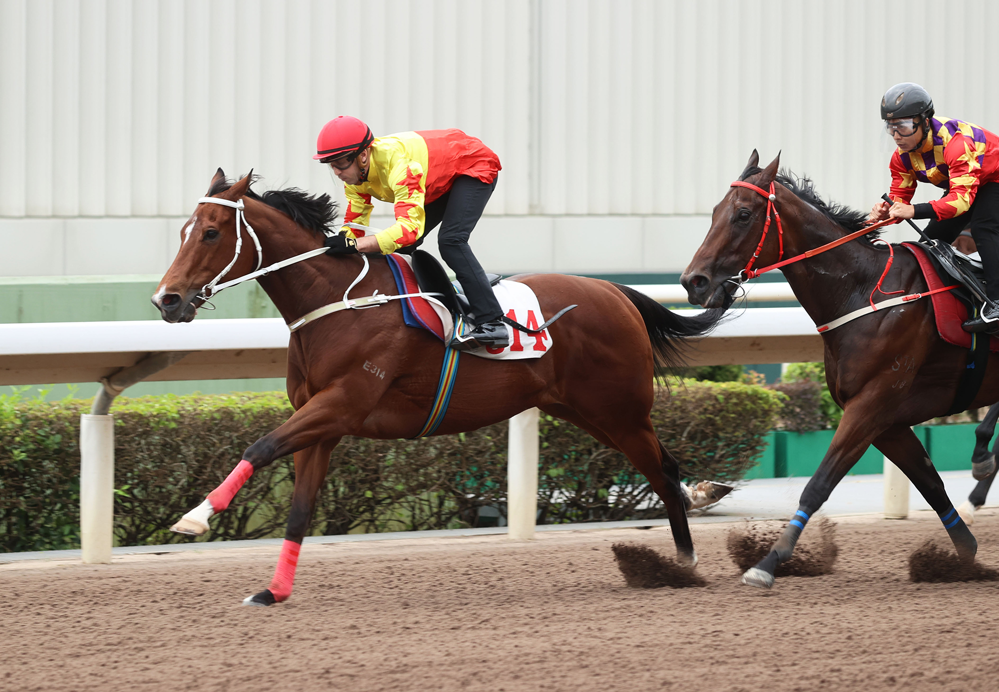 California Spangle cruises to victory (Pic - HKJC)